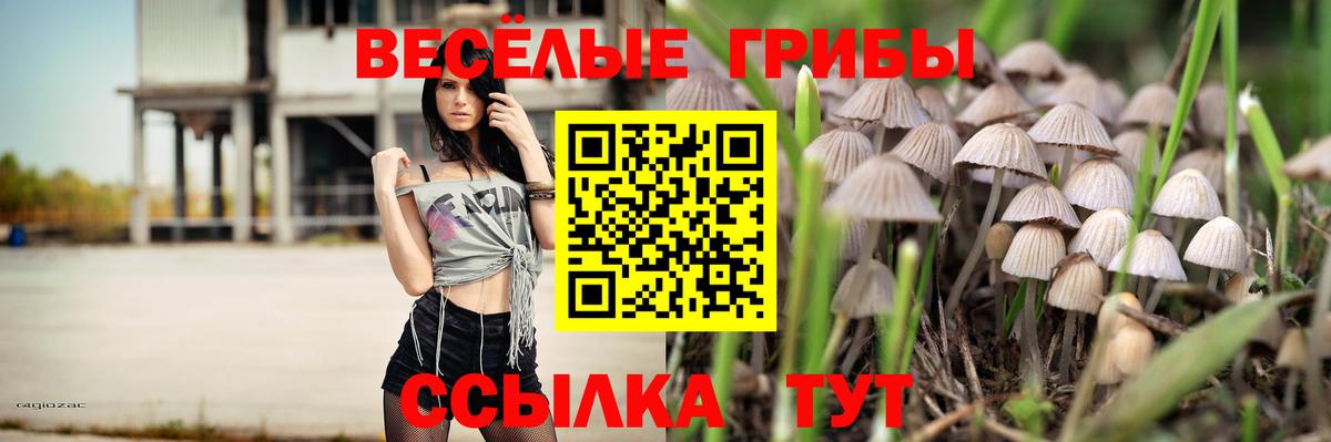 Сибай  Псилоцибиновые грибы прущие грибы  Псилоцибиновые грибы ЛСД  Вход с VPN 